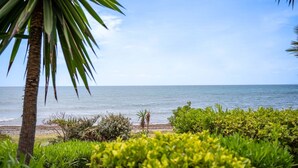 A beach with a palm tree and greenery in the foreground, leading to the ocean.
