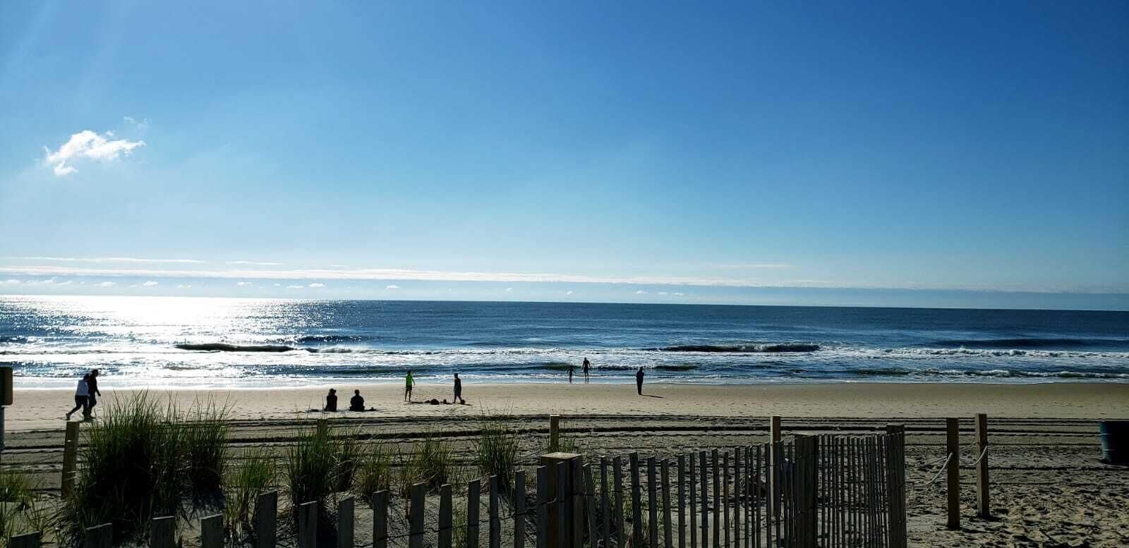 サンラウンジャー