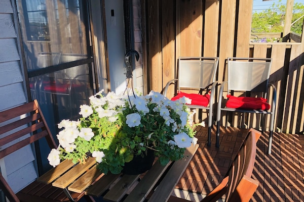 Terraço/pátio