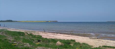 بالقرب من الشاطئ