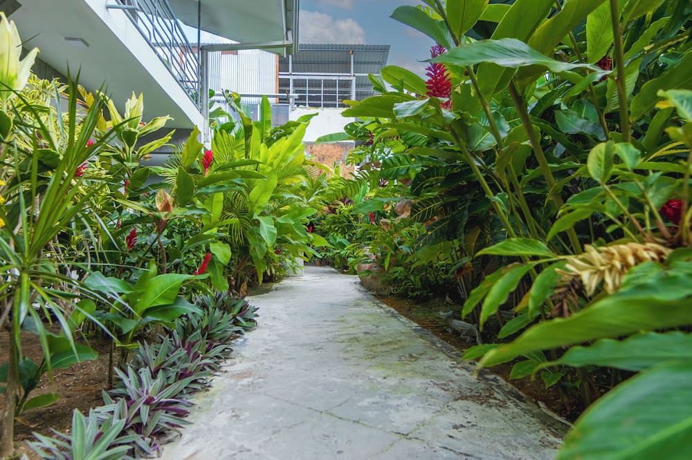 Arenal Poshpacker Boutique Urban Tropical Hotel