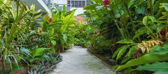 Arenal Poshpacker Boutique Urban Tropical Hotel