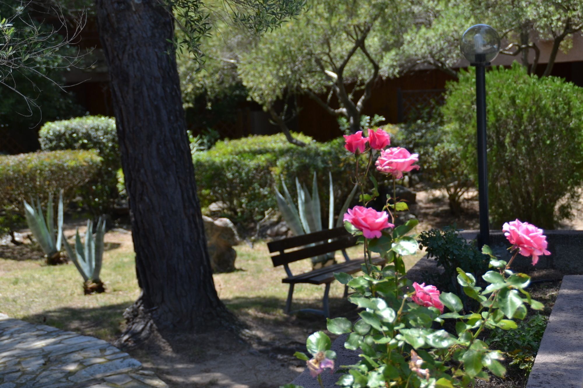 Jardines del alojamiento