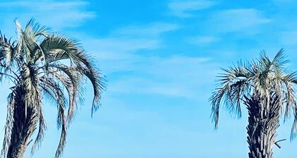 House 4 bedrooms 200 beach Canet