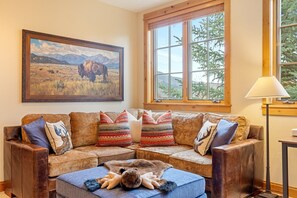 Smart TV, fireplace, books