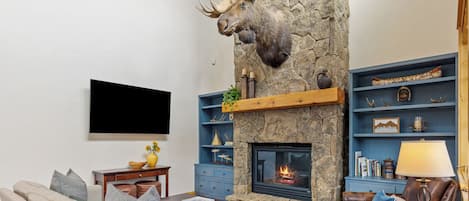 Smart TV, fireplace, books