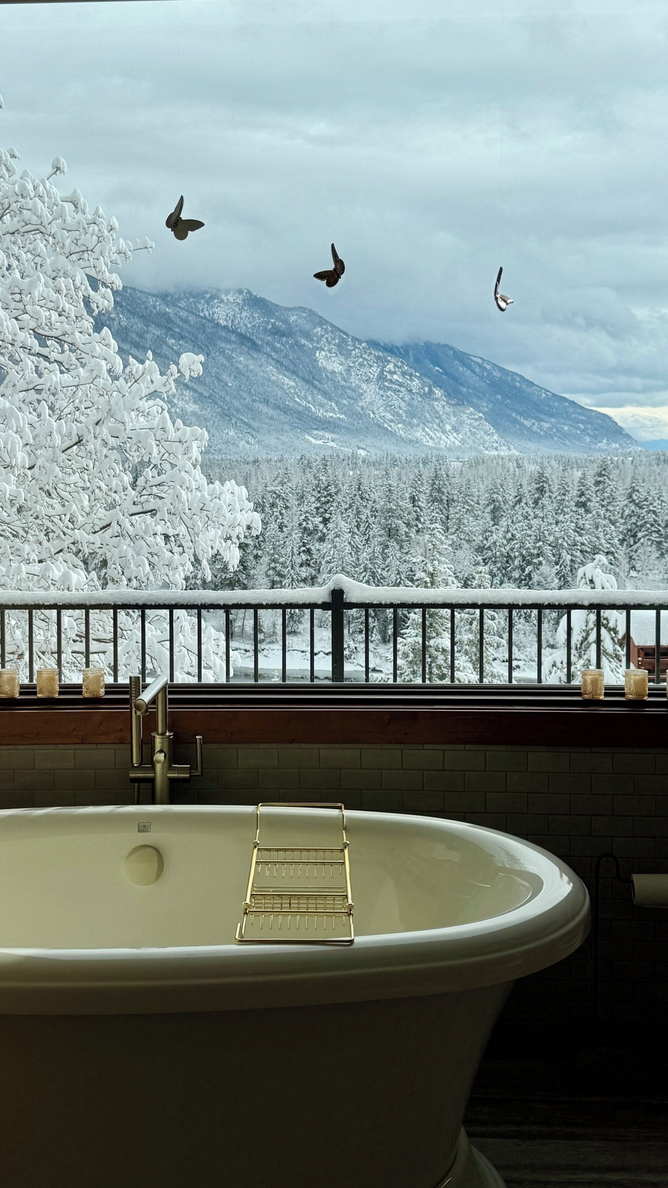 Eine Badewanne mit Blick auf schneebedeckte Bäume und Berge.
