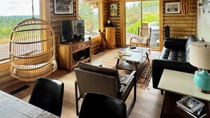 Smart TV, fireplace, books, stereo