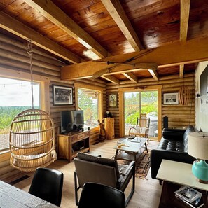 Smart TV, fireplace, books, stereo