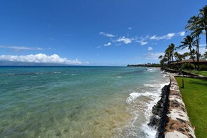 A beachfront with clear turquoise waters, a stone wall, and palm trees.
