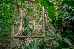 Property grounds - Secluded Treetop Home w/solar panels, Private Balcony, steps from the beach (Cabo Matapalo)