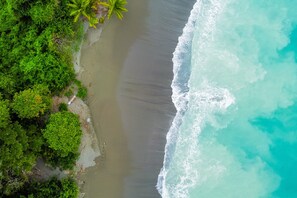 On the beach - Secluded Treetop Home w/solar panels, Private Balcony, steps from the beach (Cabo Matapalo)