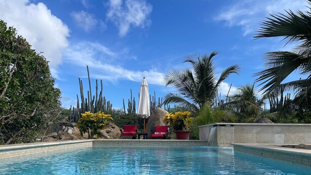 Ein klares Schwimmbecken mit roten Liegestühlen und gelben Blumen, umgeben von Kakteen und Palmen unter blauem Himmel.