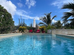 Piscina cristalina con sillas reclinables rojas y flores amarillas, rodeada de cactus y palmeras bajo un cielo azul.