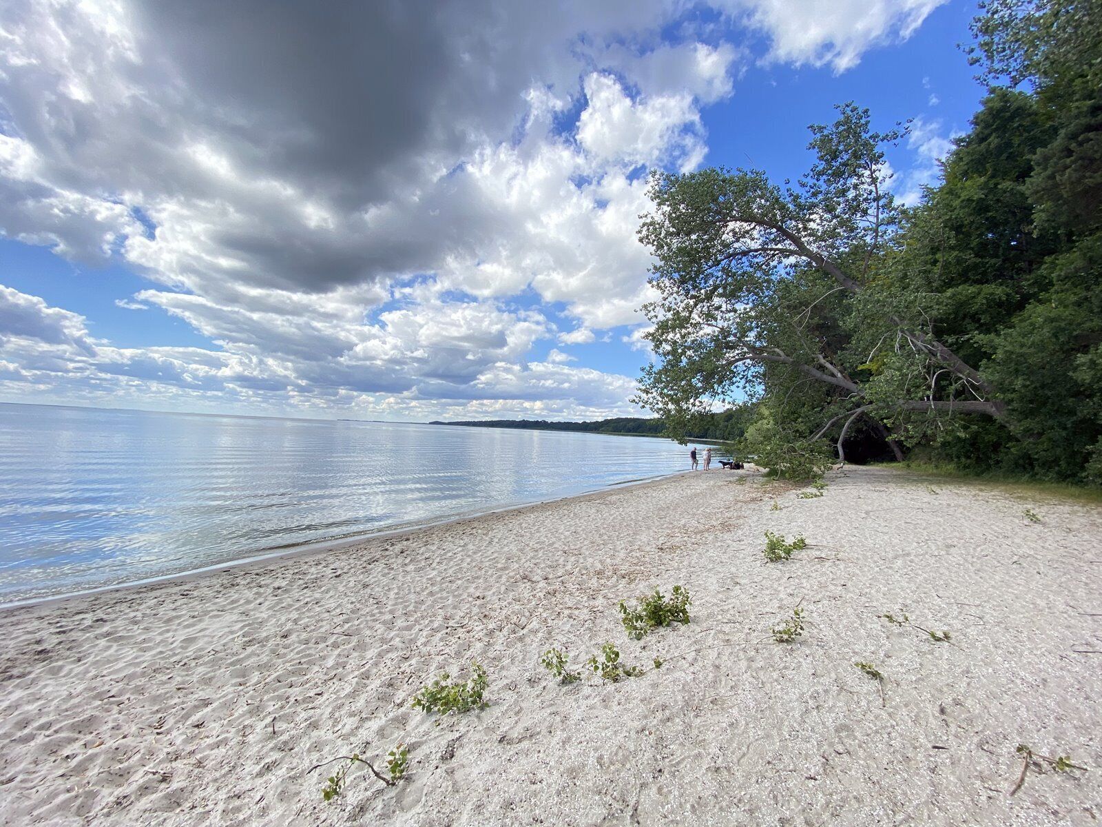 Playa en los alrededores 