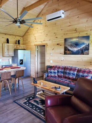 Smart TV, fireplace, DVD player, video library