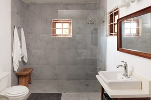 Combined shower/bathtub, hair dryer, towels, soap