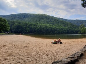 A sandy beach with a lake and forested hills in the background. - House / hot tub/pet friendly  (Tyro)