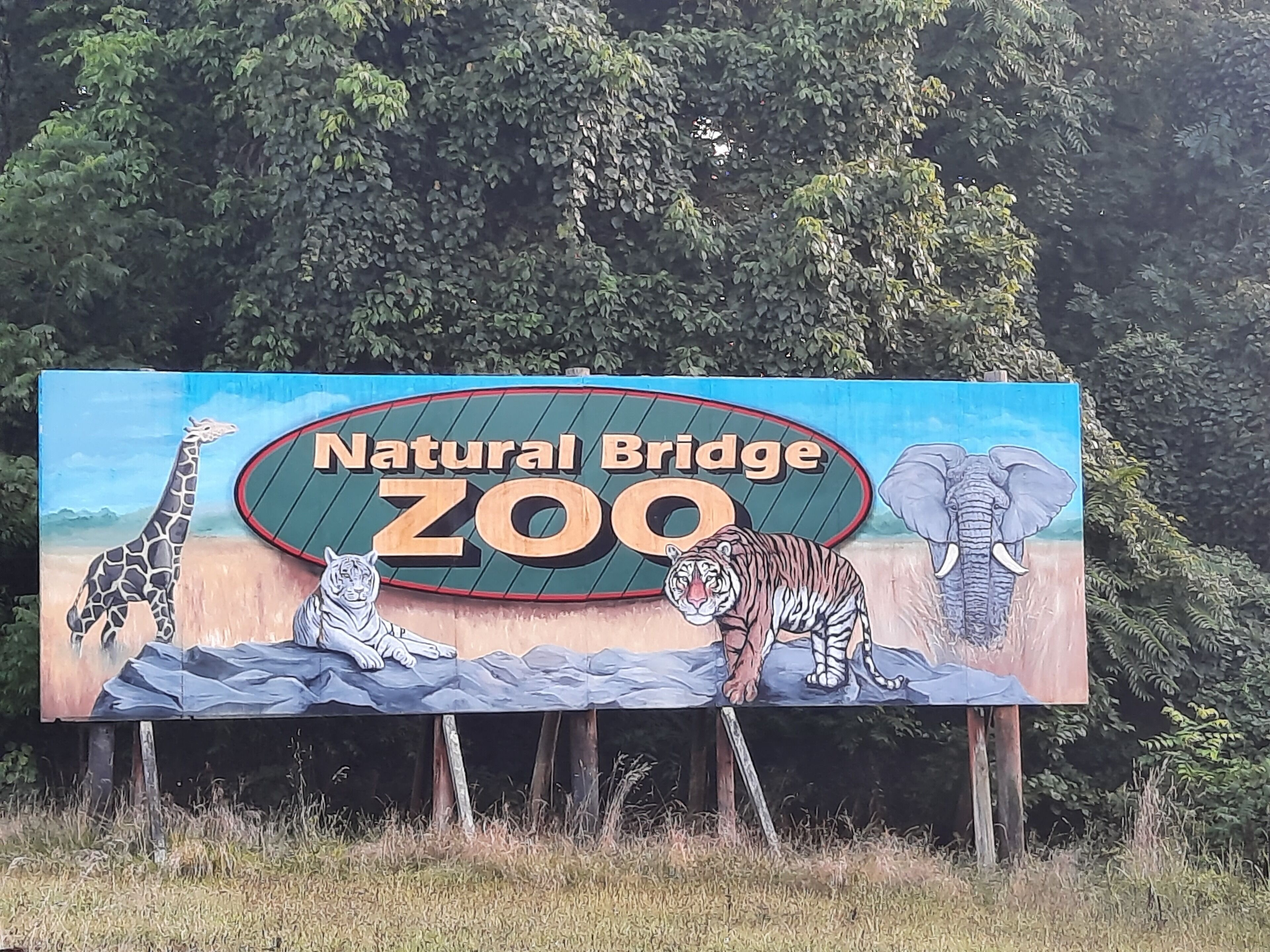 Schild für den Natural Bridge Zoo mit Giraffe, Tiger und Elefant.