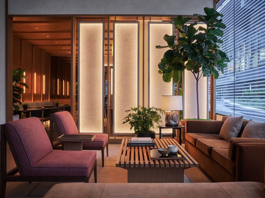 Una sala moderna con sofá, sillón y mesa de centro. Hay una planta en maceta y una lámpara sobre una mesita.