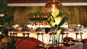 Zona bar con posti a sedere, piante in vaso e un lampadario.