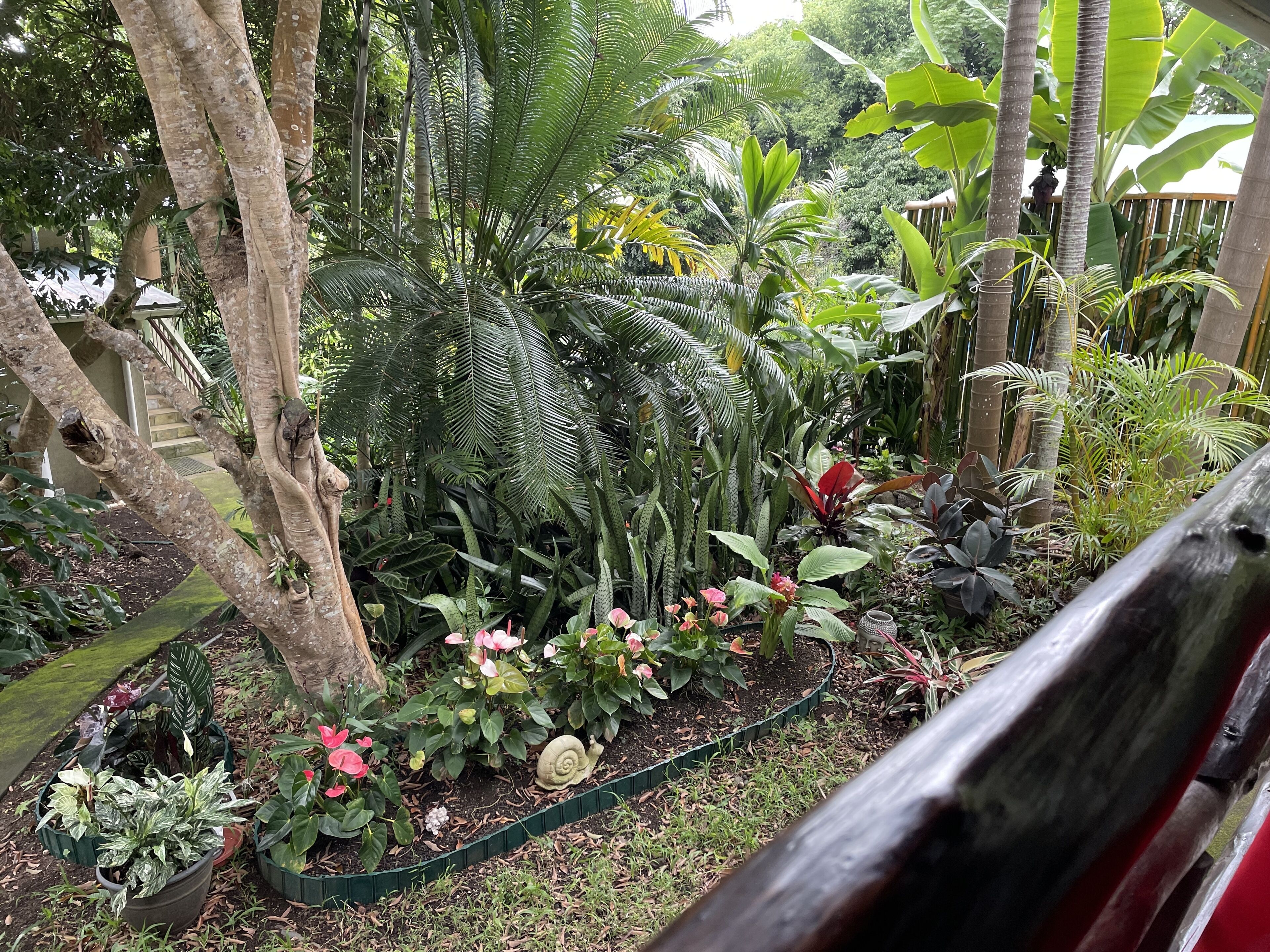 Áreas de la propiedad