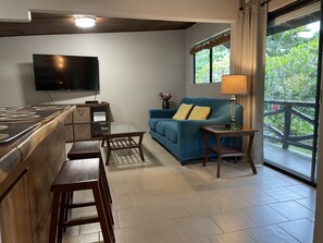 Smart TV, computer monitors