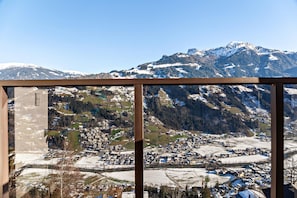Interior - Vacation apartment 'App 24 persons Innerspielleiten ' with mountain view, private terrace (Hippach)
