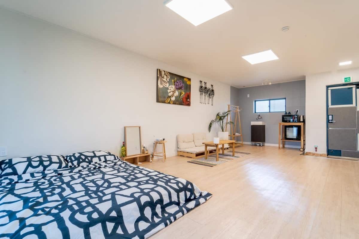 Une pièce spacieuse comprenant un lit, un canapé, un bureau, une plante et une fenêtre.