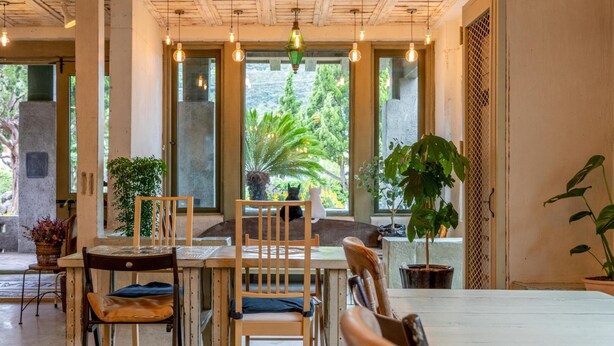 Un espace intérieur accueillant, aménagé avec des meubles en bois, de grandes fenêtres et des luminaires suspendus.