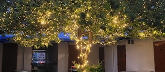 Taean Mammose Pension