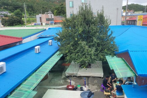 Taean Mammose Pension