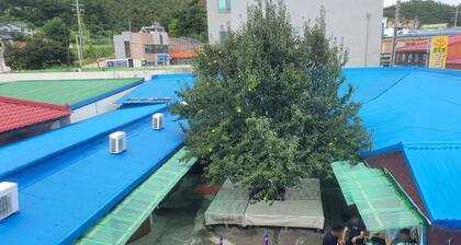 Taean Mammose Pension