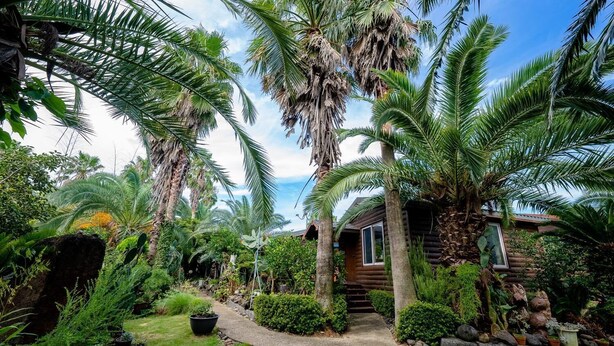 Exterior - Seogwipo Baelritongnamubilriji Pension (Seogwipo)