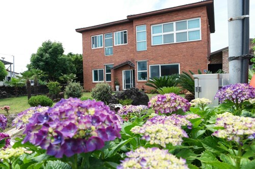 Jeju Ophirhouse Pension