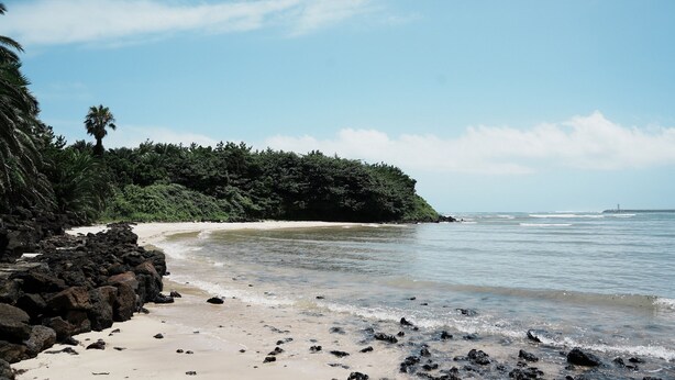 Une plage bordée d’une côte rocheuse, sous un ciel bleu dégagé, et entourée d’une végétation luxuriante.