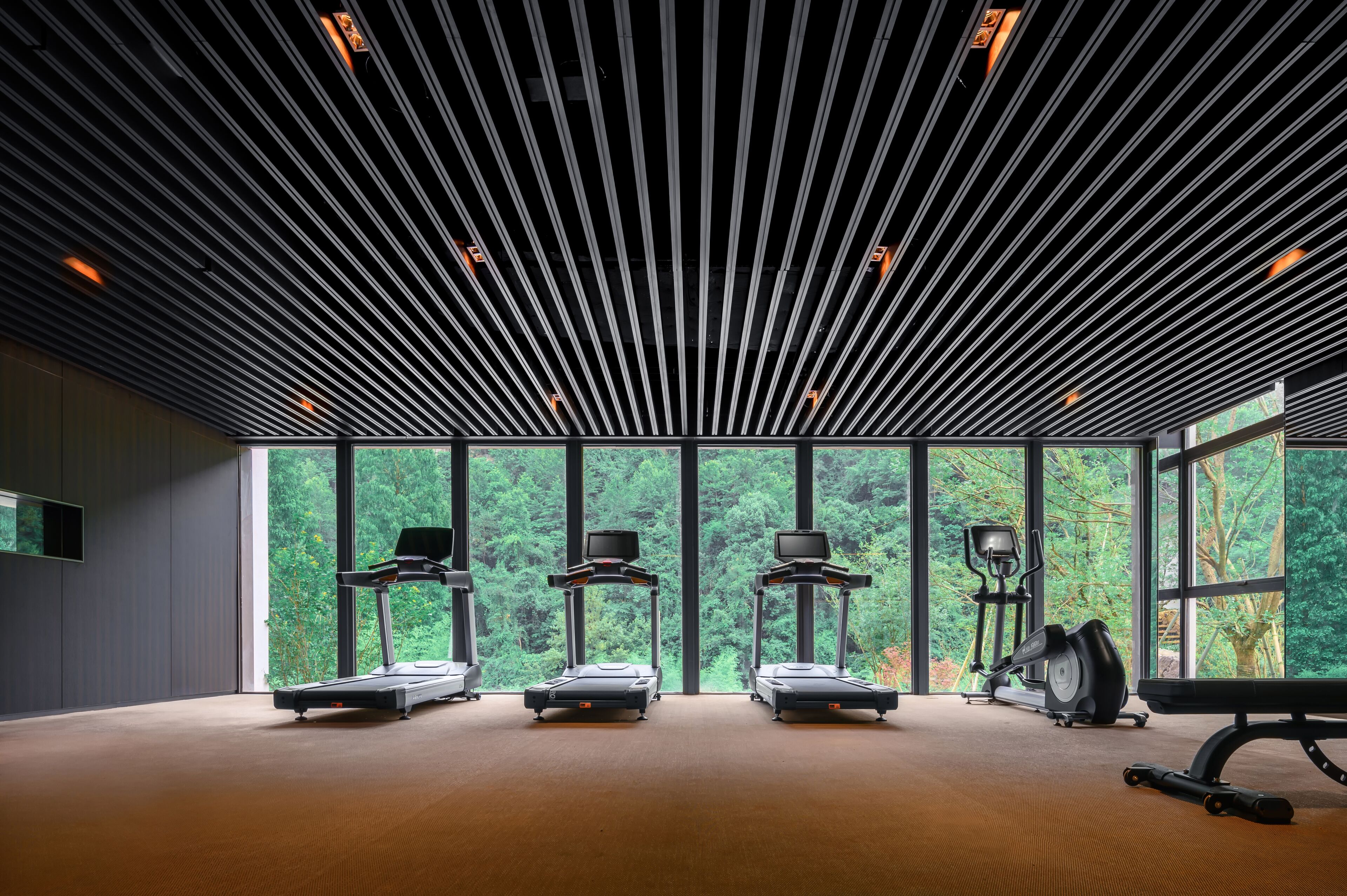 A gym with treadmills, elliptical machines, and a stationary bike, large windows with a forest view.