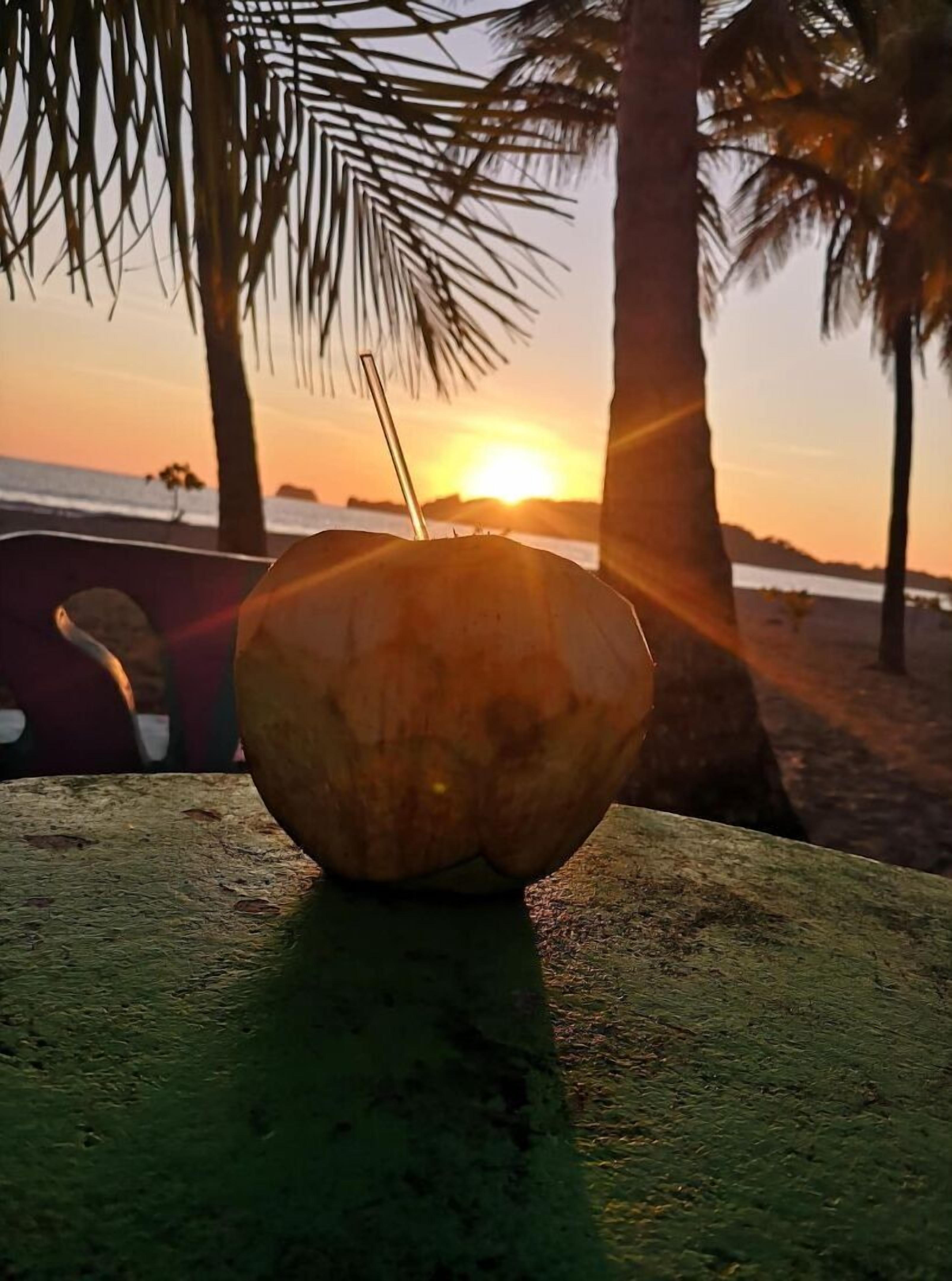 A coconut on a wooden surface with a sunset in the background.