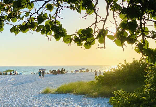 Beach nearby, sun loungers, beach towels