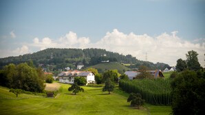 A rural landscape with houses, green fields, and a hill in the background. - Ferienhof Metzler 1 Zi. Appartement Apfel (Bodnegg)