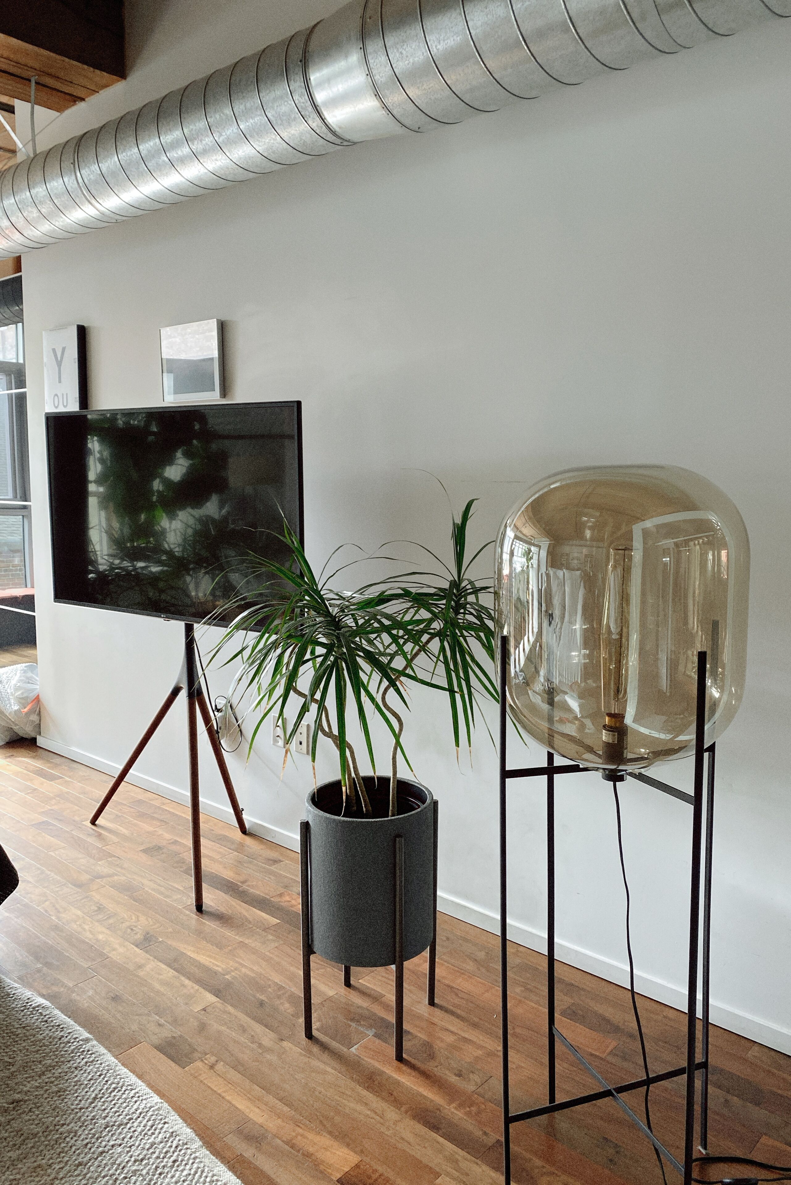 A modern living room with a flat-screen TV on a tripod stand, a potted plant, and a large glass globe on a metal stand.