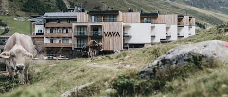 Un edificio moderno con fachada de madera y el nombre 'VAYA' en la parte frontal.