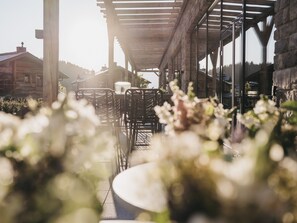 Terraza