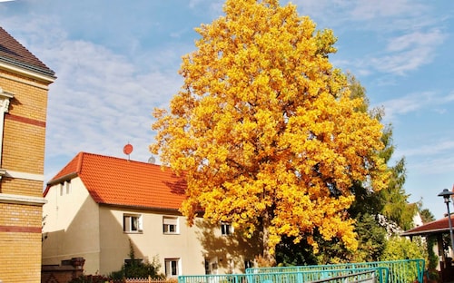 Ferienwohnung Hanschke - Ferienwohnung