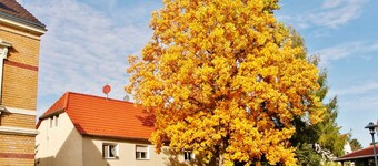 Ferienwohnung Hanschke - Ferienwohnung