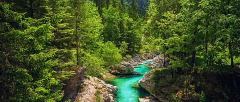 Un río serpentea por un valle boscoso, con terreno rocoso y una vegetación verde densa.