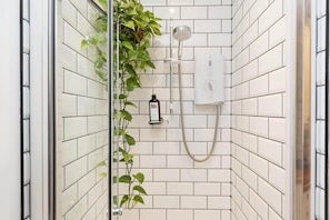 Shower, hair dryer