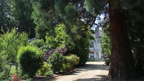 A gravel path leading to a stone building surrounded by dense trees and shrubs.