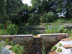 Property grounds - Charming Countryside Getaway: 15 min from Le Mans, 20 min from La Flèche (Cérans-Foulletourte-Cérans)