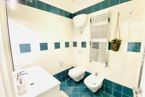 Shower, hair dryer, bidet, towels